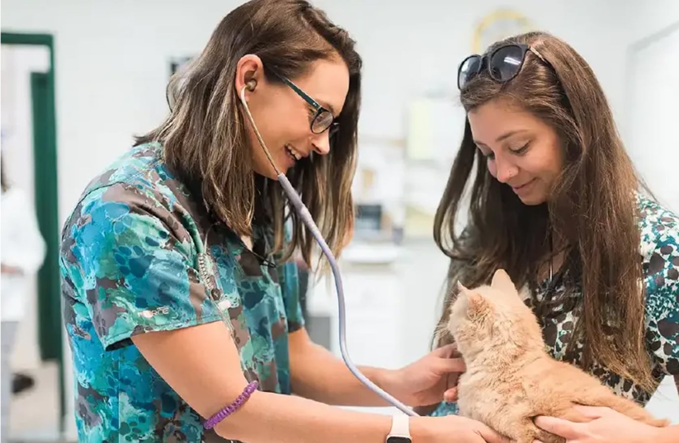 Veterinarian examining a cat with a stethoscope as its owner looks on