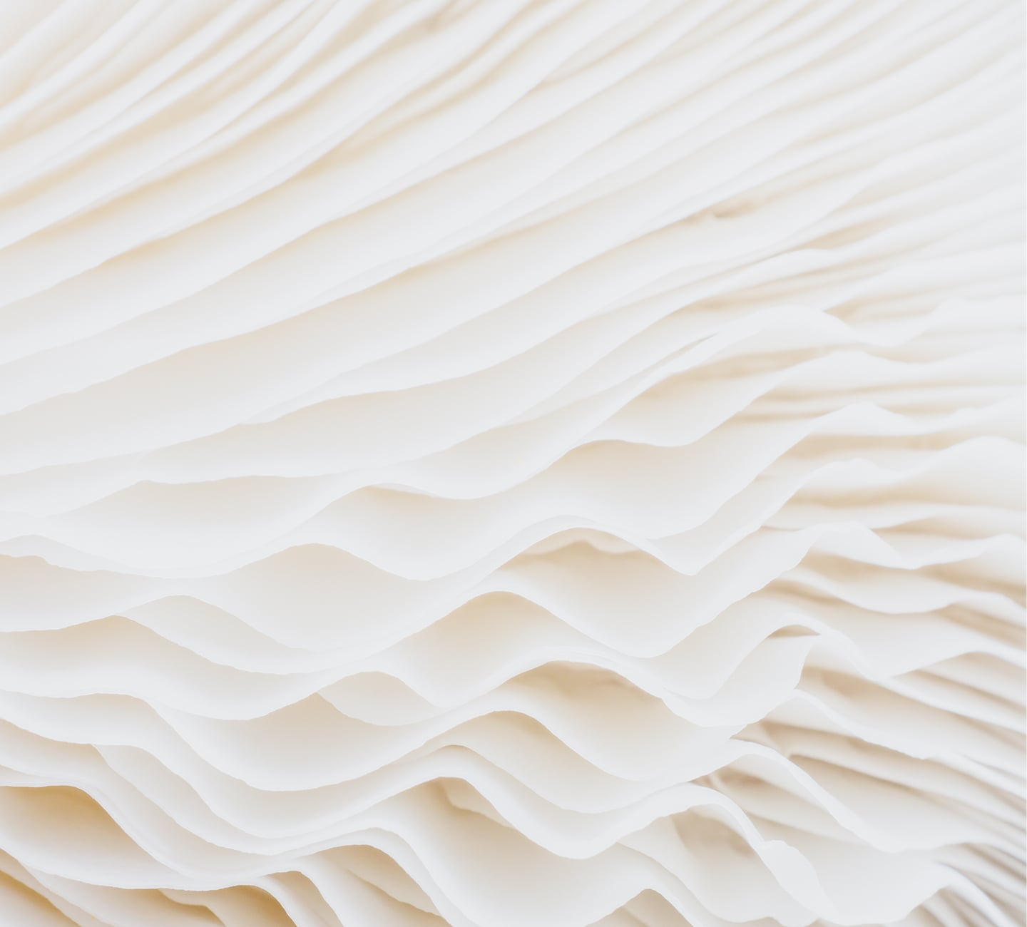 Abstract close-up of soft, layered cream waves resembling sculpted fabric or sand